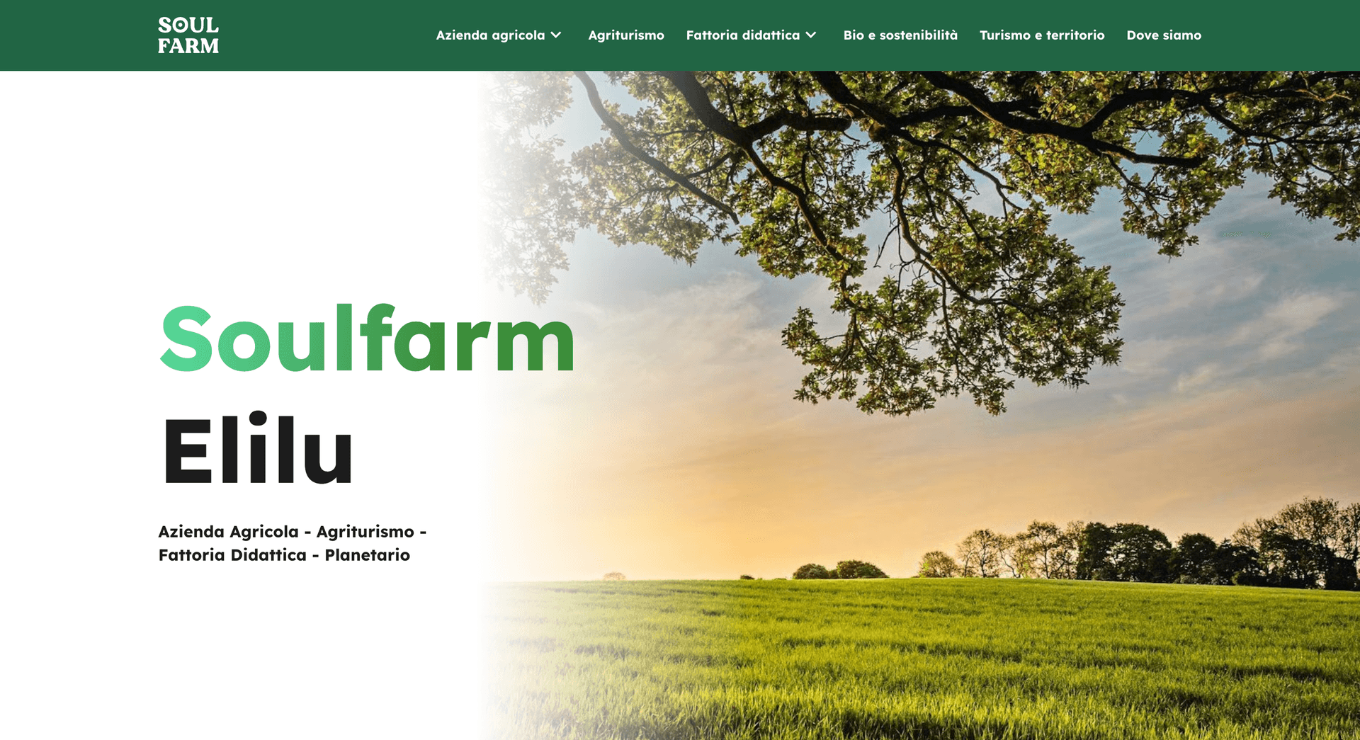 Visit Soulfarm website