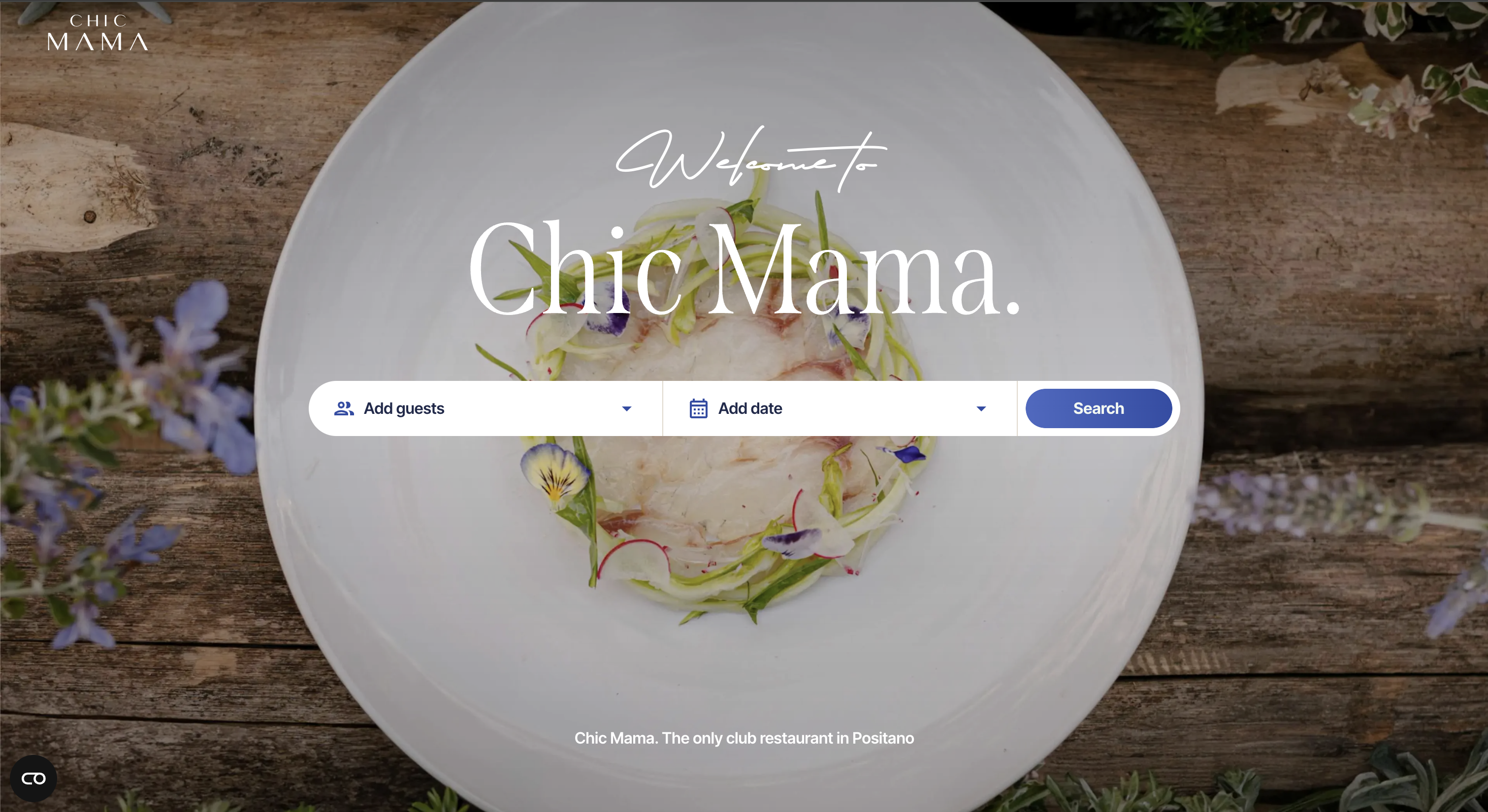 Visit Chic Mama web app